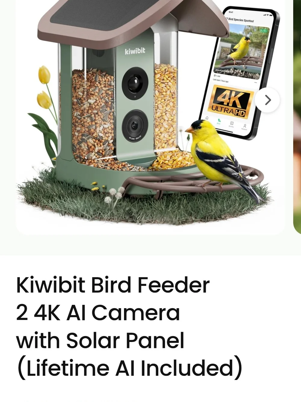 viubird solar powered